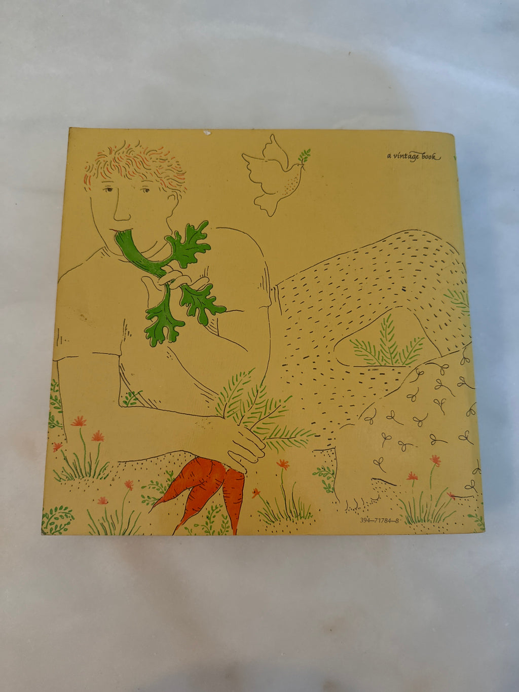 The Vegetarian Epicure by Anna Thomas